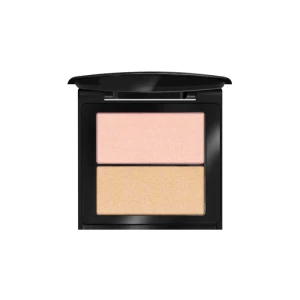 هایلایتر پودر این لی