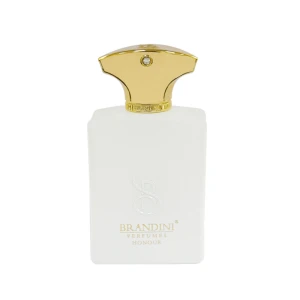 ادوپرفیوم آنر مردانه برندینی