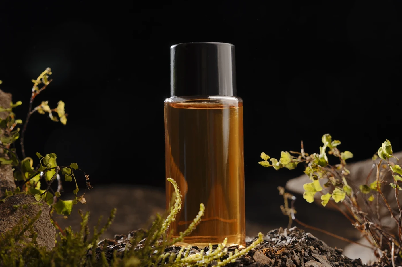 عطر مردانه مناسب پاییز.webp
