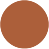 P15-100x100.png