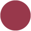 V66-100x100.png