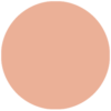L1-100x100.png
