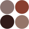 T38_Color-100x100.png