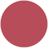 E25-100x100.png