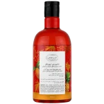 11384420190202422721