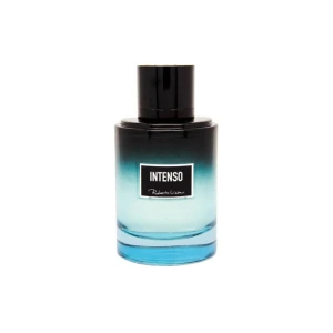 ادو تویلت مردانه اینتنسو روبرتو ویزاری