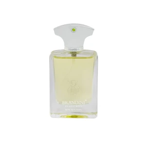 ادوپرفیوم براکن مردانه برندینی