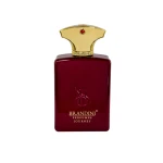 Brandini Eau De Parfum Journey for men 33 ml