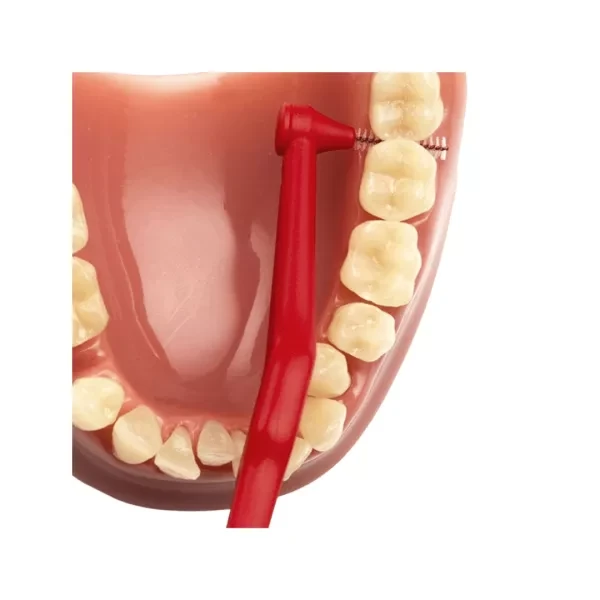مسواک-بین-دندانی-دسته-دار-سایز-2-تپه-600x600