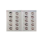Magray-brow-Tint-Kit-