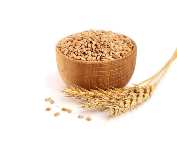 1497557-سنبله-گندم-و-دانه-گندم-در-یک-کاسه-چوبی-جدا-شده-بر-روی-زمینه-سفید