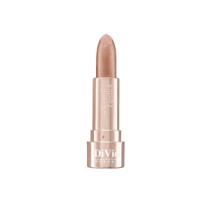 رژلب جامد شاین دار دی ویو