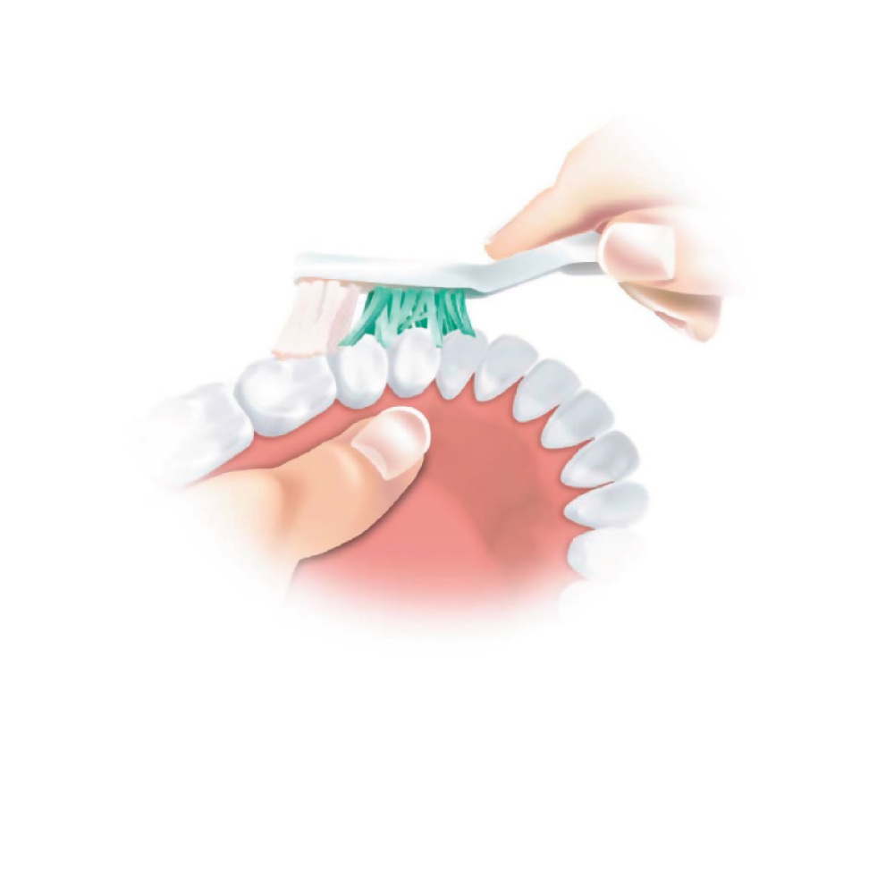 Denture-Brush-2
