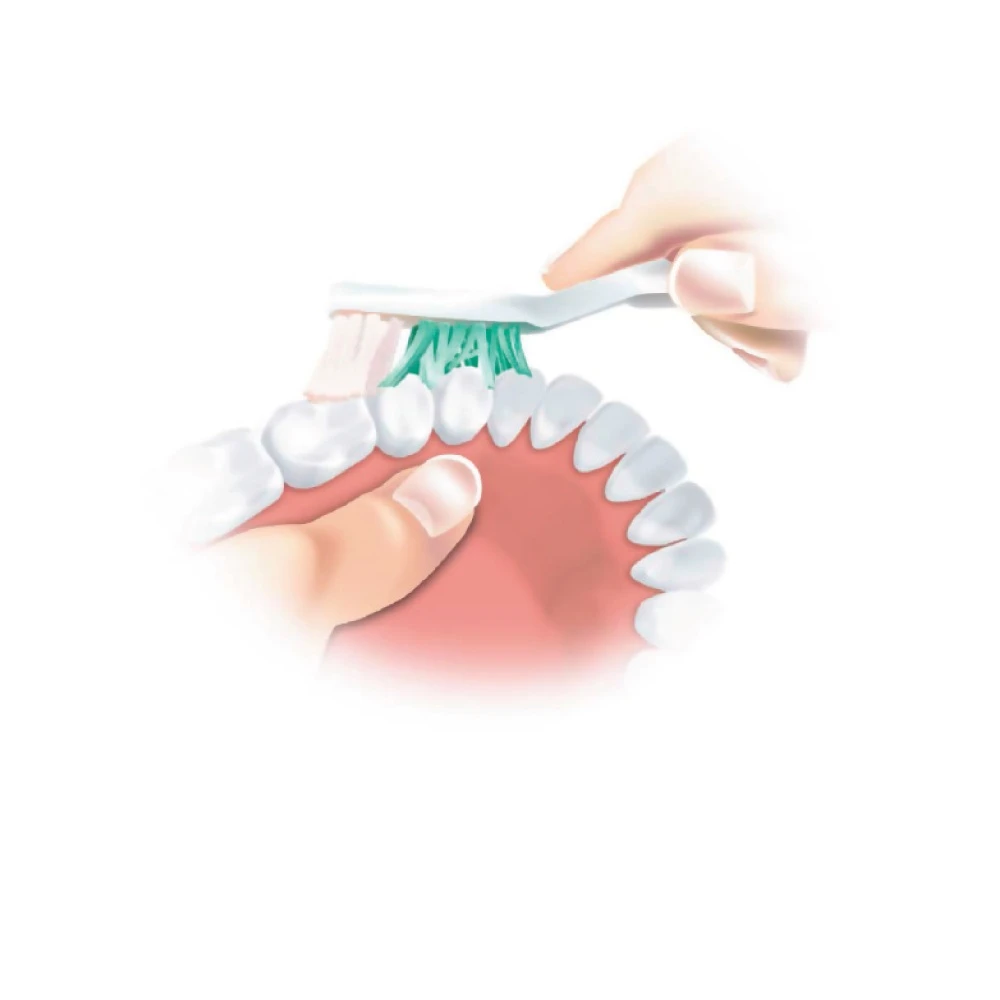 Denture-Brush-2